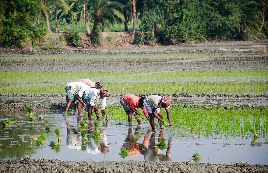 InfyU Labs - Innovating Future For Agriculture